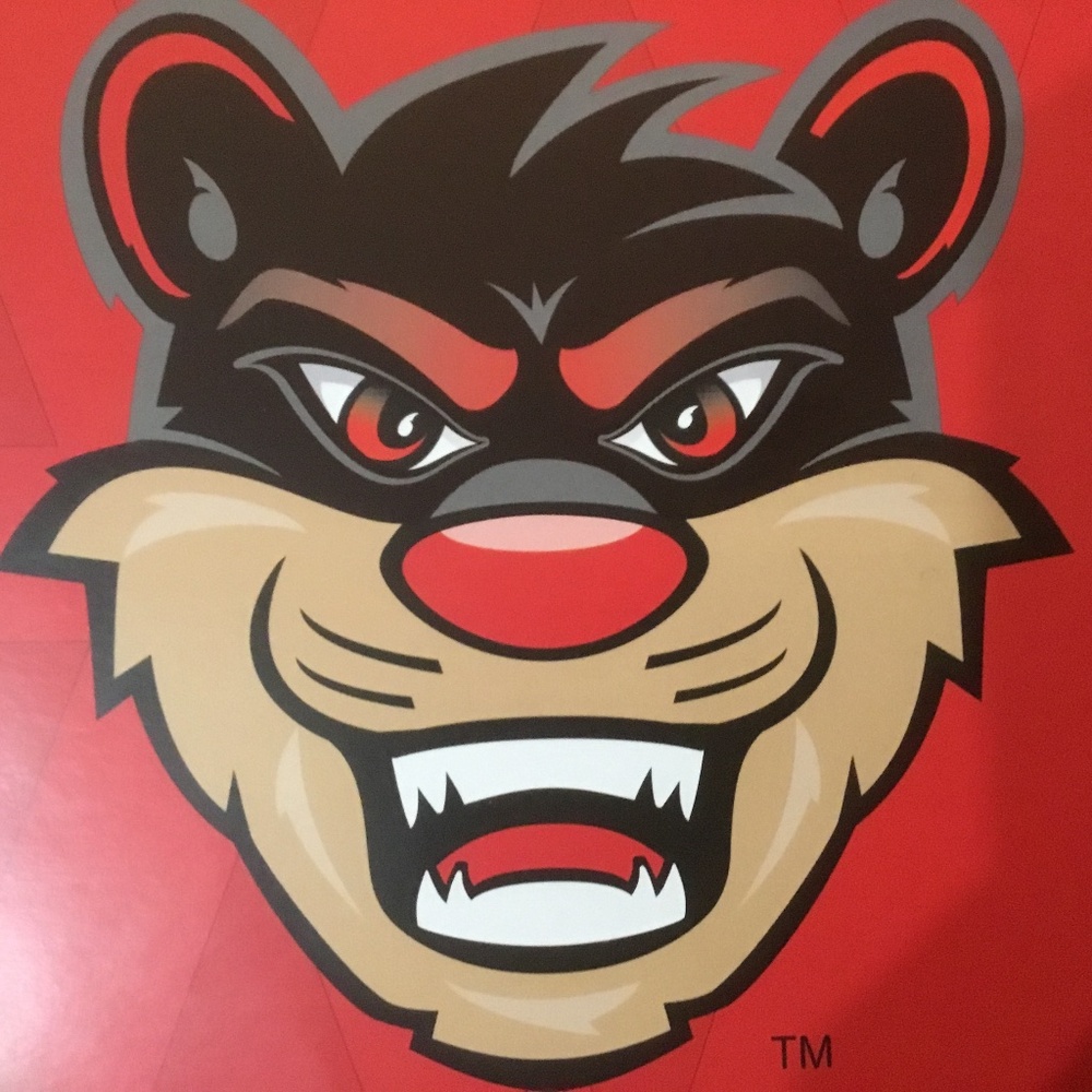 University of Cincinnati Bearcats Poster/Handout